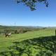 Y Twlc Mochyn - EcoFriendly - Farm Animals, Corwen (zdjęcie 9)