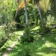 Studio cosy à Boucan Canot, 30 m² avec jardin privé, Boucan Canot - Φωτογραφία 3