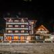 103 Alpine Hotel Paničišče - Fotografie 1