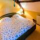 Beautiful Castle in Le Veurdre with Private Pool, Le Veurdre (fotografie 5)