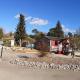 Camping La Dune Blanche - Daly's home, Camiers - Fotografie 7