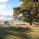 Twamley Farm, Buckland (fotografie 2)