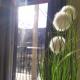 Deluxe Parkapartment Vienna City Center - free parking!, Wien - Foto 4