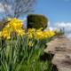 Nant Ucha Farm, Acrefair (foto 4)