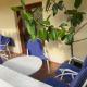 Apartmani Zelenika, Herceg-Novi (foto 4)