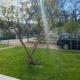 Apartmani Zelenika, Herceg-Novi (foto 5)
