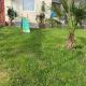 Apartmani Zelenika, Herceg-Novi (foto 7)