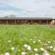 Cowbridge Cabins, Cowbridge (fotografie 5)