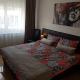 Apartman Lazarević LUX, Pirot - Fotografie 8