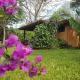 Tacacori EcoLodge, Alajuela City (photo 9)