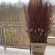 Апартаменты LUXURY LAVANDER, Polyana (photo 4)