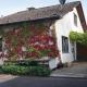 Haus Eifeldolomiten - Ankommen und Wohlfühlen, Gerolstein - Foto 2