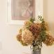 Urlaubsfreude Biedermann Haus Blumenglück - Hortensie, ゼープニッツ - 写真 5