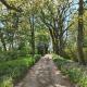 Sloley Hall, Tunstead (fotografie 10)