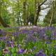 Sloley Hall, Tunstead (fotografie 9)