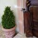 Podere Battegone, Maestrello (photo 8)