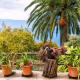 El Palmeral, Los Riveroles (foto 6)