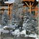 Teton Club, Teton Village - Foto 8