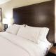 Holiday Inn Express & Suites Aiken by IHG, Aiken (foto 10)
