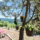 Casa il Cipresso, in the heart of Chianti with swimming pool Castellina in Chianti - Foto 10