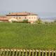 Villa Siena 10, Emma Villas, Castelnuovo Berardenga (foto 7)
