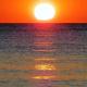 Hotel B&B Rispescia Grosseto, Rispescia (fotografie 8)