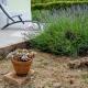 Holiday house Sunshine, Jelsa (fotografie 6)
