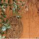 Independent with garden heart of trastevere John Cabot, Rome - Photo 4