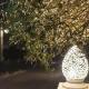 Tenuta Olive Alive, Noto (foto 5)