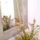 Casa Carey, Morro del Jable (foto 6)