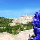 Visum Hyblea, Ragusa (fotografie 9)