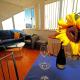 Apartment Nikatoni, Dubrovník (fotografie 3)