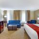 Comfort Inn Hoffman Estates - Schaumburg, Hoffman Estates (fotografie 10)
