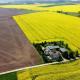 Ein Bett im Kornfeld - Haus Fernweh - Innenpool, Schönfeld - 写真 4