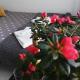 Marlen’s Apartment, Bucareste - Foto 3