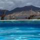 Poolvilla with Oceanview (wheelchair accessible/pool lift) Playa Blanca - Foto 7