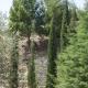 Tenuta Olive Alive, Noto (foto 6)