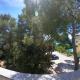 Apartments Stanko, Petrcane (Peterzane) (foto 8)