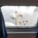 Hotelboat Iris, Amsterdam (photo 10)
