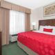 Ramada by Wyndham Denver International Airport - Photo 8