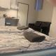 Rotermanni Hostel near harbor 4 floor, Tallinn (foto 9)