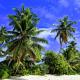 Chalets d'Anse Forbans SelfCatering, Takamaka (fotografie 5)