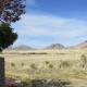 Rancho Milagro Bed & Breakfast, Elgin (фото 10)