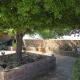 Rancho Milagro Bed & Breakfast, Elgin (фото 4)