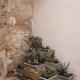 Tufoletto Apartment, Palermo - Foto 4