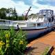 Motor Yacht Amstelle, Amsterdam (photo 9)
