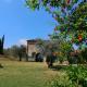 Casetta dell`Uliveto, Macchiascandona (Foto 7)