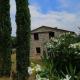 Casetta dell`Uliveto, Macchiascandona (Foto 9)