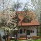 Pension Klokočí, Sněžné (fotografie 10)