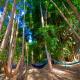 Pousada do Bosque, ボア・エスペランサ - 写真 8